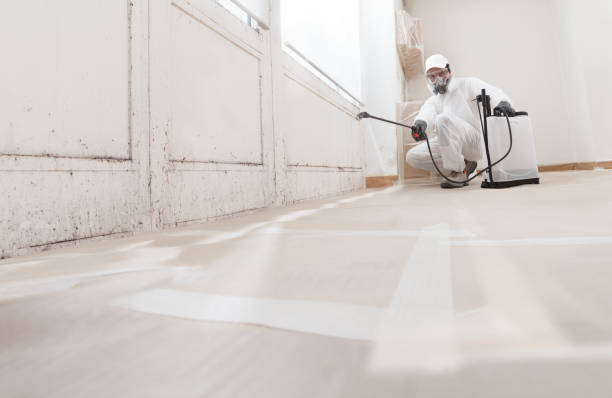 24/7 Emergency Mold Remediation experts in Laurel, VA