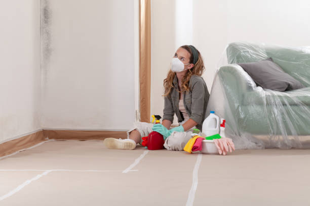 Reliable Mold Remediation contractor in Laurel, VA by WQB Mold Removal